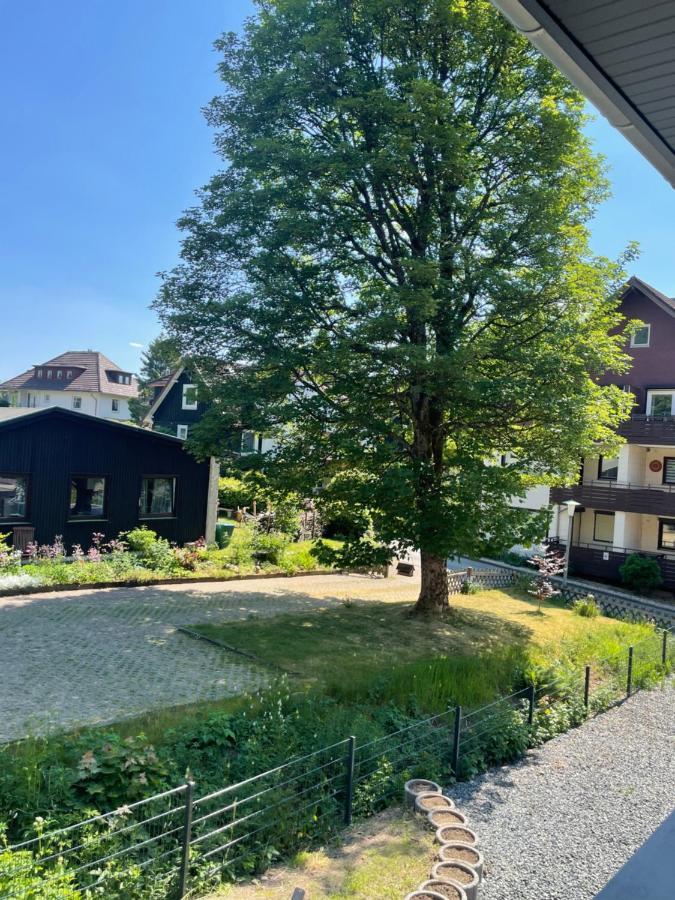 Eastside Braunlage Apartment Екстериор снимка